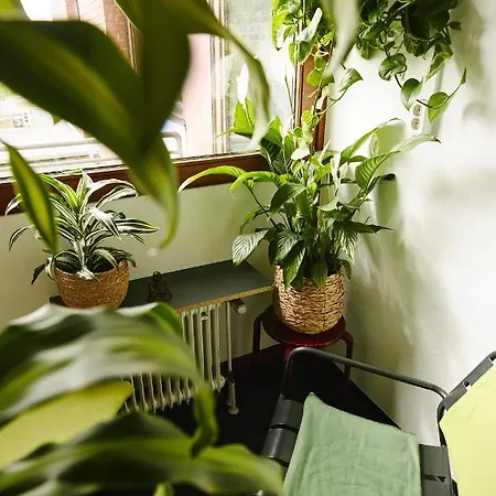 Hostel Sleep Station Münster