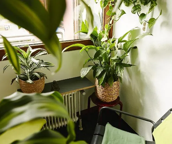 Hostel Sleep Station Munster (North Rhine-Westphalia)